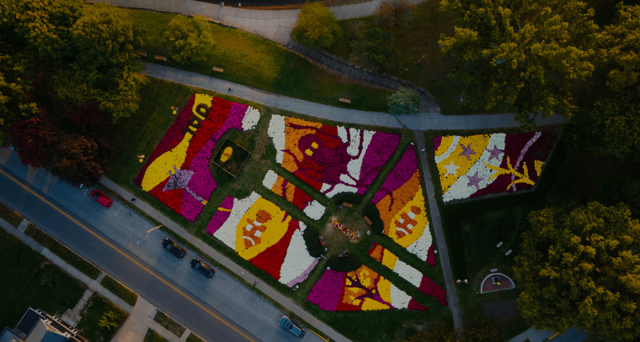 Ariel shot of colorful mums arranged in a pattern next to Lake Anna